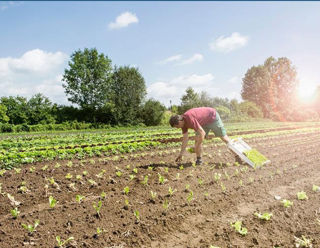 農(nóng)村污水處理 農(nóng)村污水處理